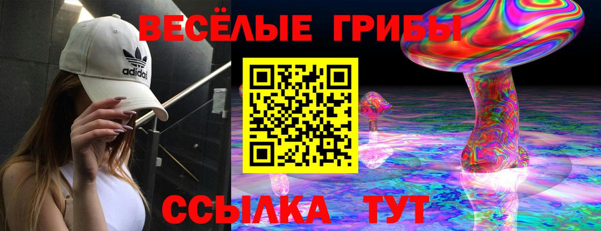 Качканар  Галлюциногенные грибы Cubensis  Вход с VPN  Псилоцибиновые грибы мицелий 