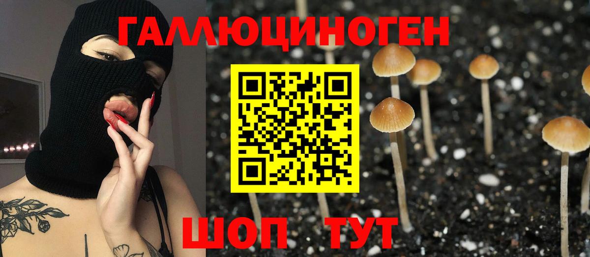 Галлюциногенные грибы ЛСД Качканар